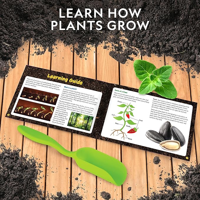 National Geographic Herb Growing Kit For Kids