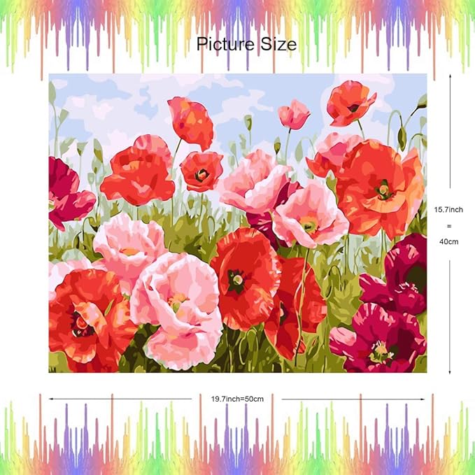 Painting By Numbers - Poppy Flowers Pink