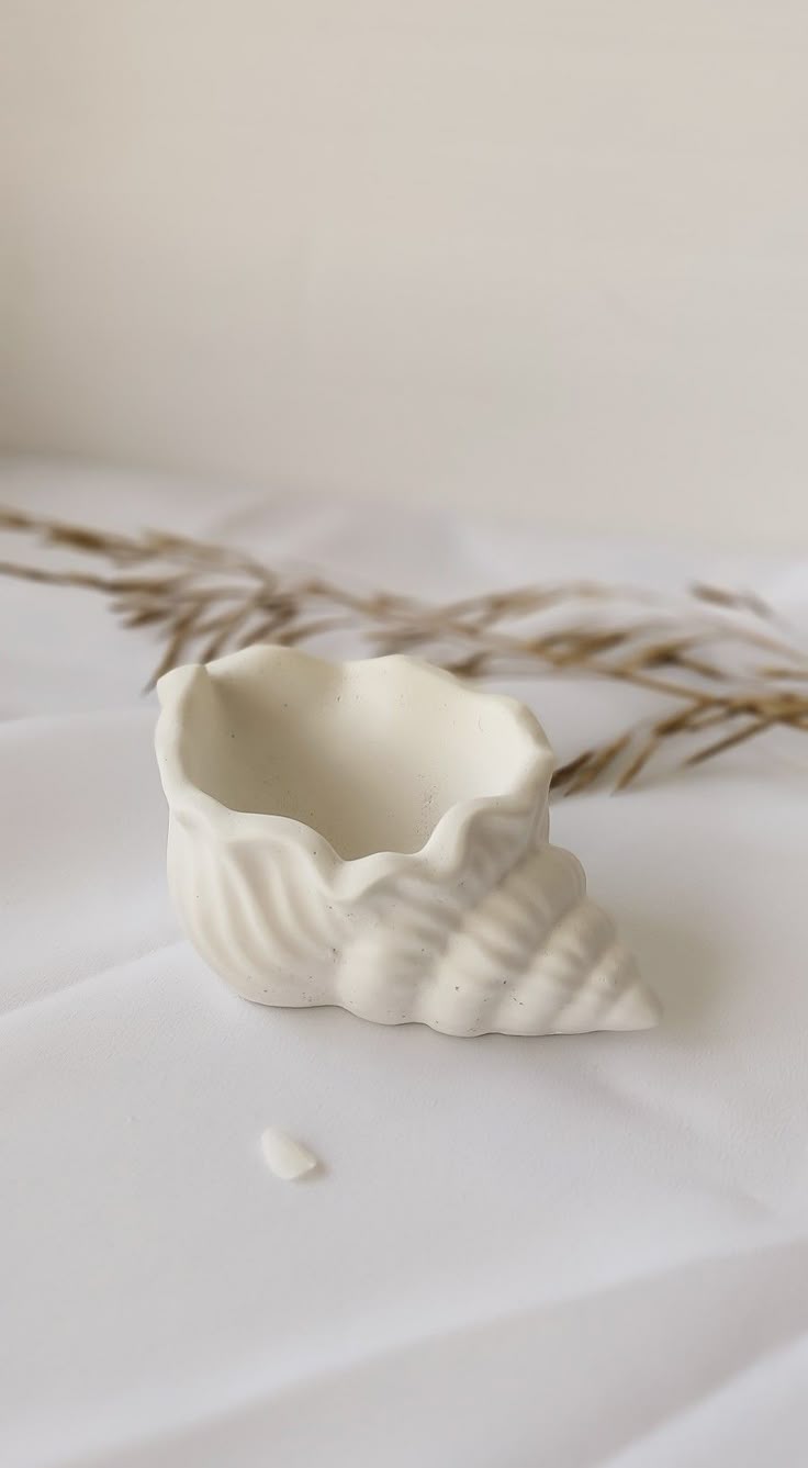 Shell jewelry holder